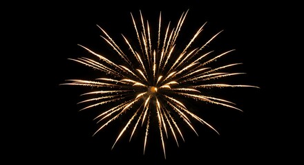 Fototapeta premium yellow fireworks art in the night skyorks in the night sky