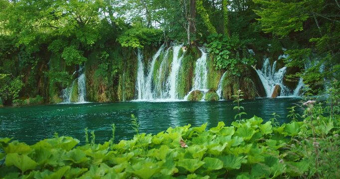 Multiple waterfalls cascade into deep blue green lake in dense vibrant forest