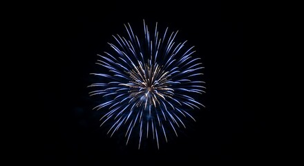 Obraz premium blue fireworks art in the night sky
