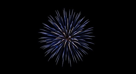 blue fireworks art in the night sky