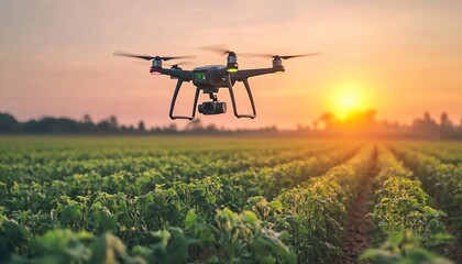 Precision agriculture using drone technology for crop monitoring at sunset