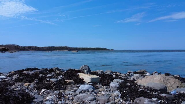 Fixed‑camera view of the Mitis River&rsquo;s rapid flow over seaweed‑covered rocks as it meets the St. Lawrence River under a clear blue sky in Quebec, 2025.