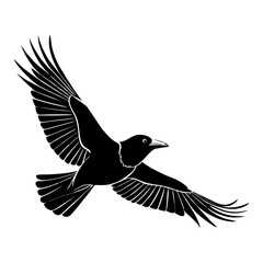 Obraz premium Majestic Black Bird in Flight: Silhouette Vector Illustration