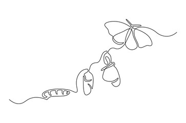 Continuous one line drawing of Butterfly life cycle. Single line drawing illustration of Growth Butterfly. Perfect metamorphosis concept vector art. Line vector illustration.