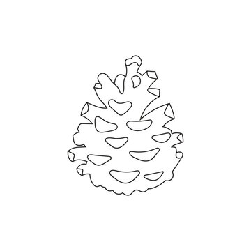 Illustration line art pine nut isolated on white background