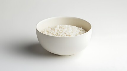 A Bowl of White Rice on a Plain Background