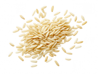 Brown rice grains scattered isolated on transparent background