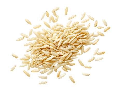 Brown rice grains scattered isolated on transparent background