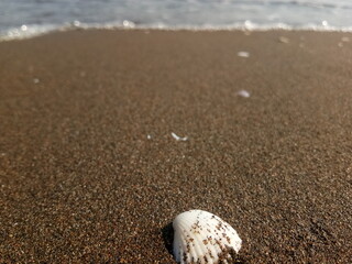 The Story Beneath the Waves