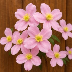 Close-Up of Pink Clematis Montana Flowers Blooming Against a Rustic Wooden Fence in Springtime