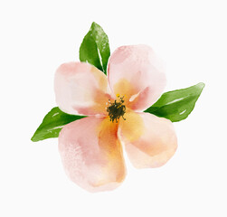 Watercolor pastel flower with green leaves, soft botanical clipart