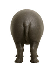 Obraz premium Hippopotamus Rear View Black Background