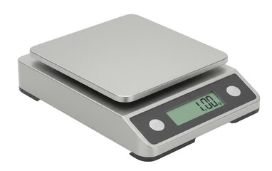 Digital Scale Shows Measurement