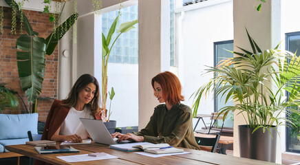 Two busy happy business women entrepreneurs working together using laptop looking at computer...