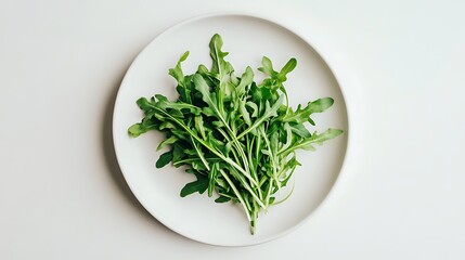 Fresh Arugula Leaves on a White Plate