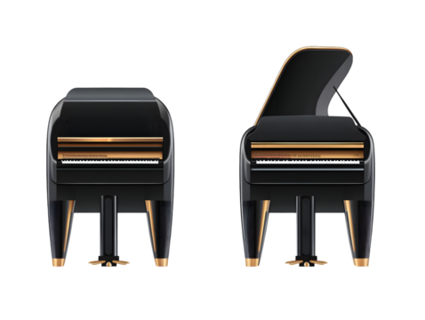 Grand piano musical instrument design
