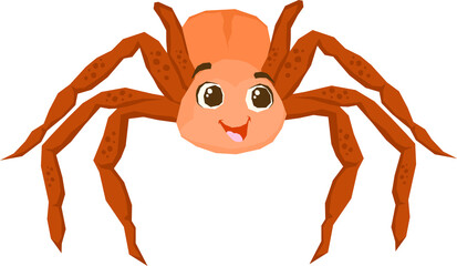 Insect Illustration