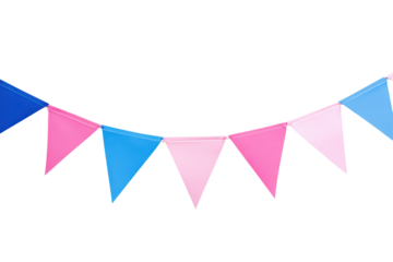 A festive bunting string with alternating pink and blue triangular flags