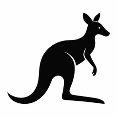 kangaroo vector illustration