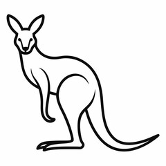 kangaroo vector illustration