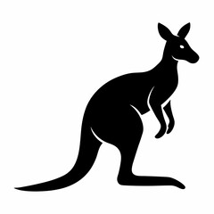 kangaroo vector illustration