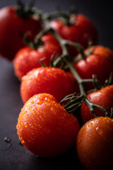 採れたて新鮮なミニトマト