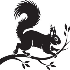 squirrel on a white background