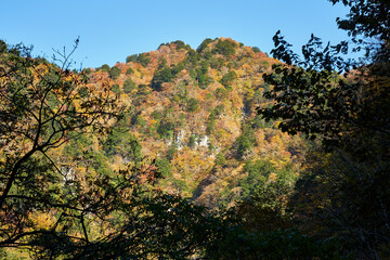 埼玉県秩父市　中津川の紅葉
