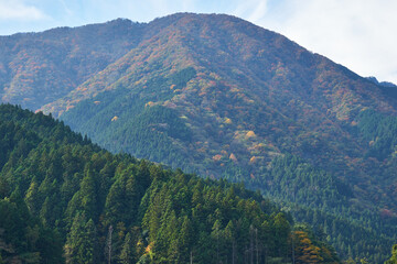 山梨県　大城川砂防ダム上流の紅葉
