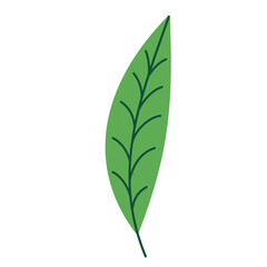 Leaf vector colorful on transparent background