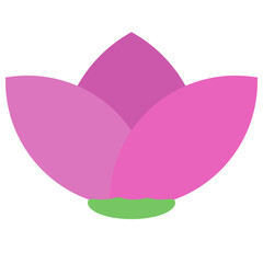 Pink Lotus Flower