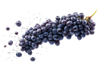 Vibrant Bunch of Juicy Purple Grapes with Splashing Effects and Loose Grapes on a Transparent Background