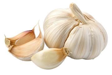 A Head of Garlic and Two Cloves of Garlic Isolated on Transparent Background