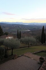 A panoramic view of a valley, rolling hills, and distant mountains from a hillside with olive trees and cypress trees in the foreground
