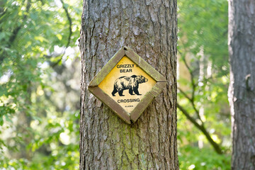 Grizzly Bear Crossing sign on a tree in a forest. Information signage in North America. Animal wildlife in a natural area like Alaska. Traffic and tourism in the wilderness.