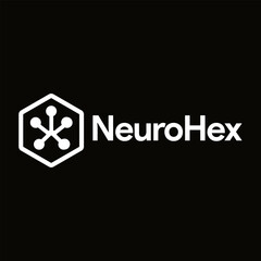 NeuroHex Modern Technology Logo – Hexagon Neural Network Symbo