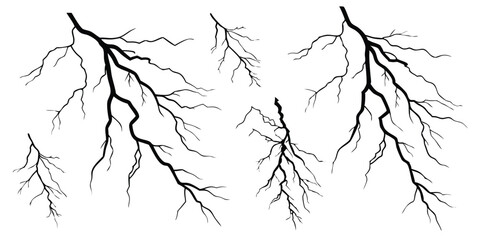 Vector Illustration of Electric Lightning Branches on White Background