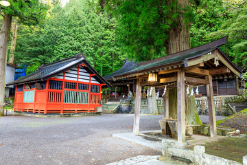 初夏の鎮神社　長野県塩尻市　Shizume Shrine in early summer. Nagano Pref, Shiojiri City.