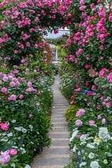 バラ・薔薇・バラ園