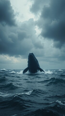 Fototapeta premium dolphin in the sea