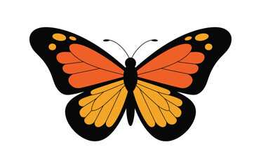 Colorful butterfly digital artwork

