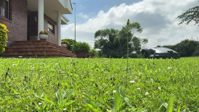 Automatic robotic lawn mower in a garden on a sunny day. Low angle view