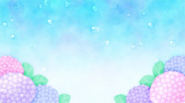 rainy season background with colorful hydrangea flowers in the rain animation