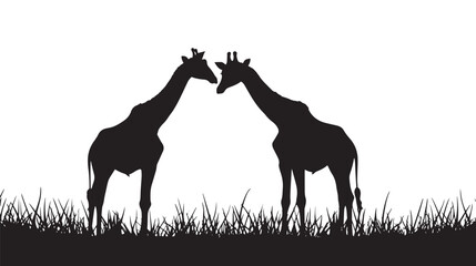 Fototapeta premium Giraffes silhouette isolated in White background