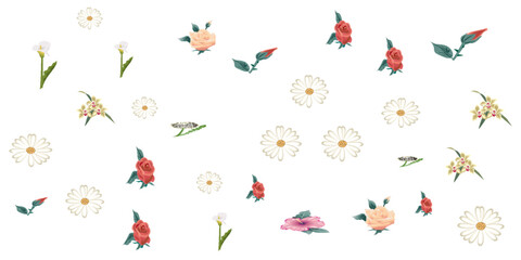 Spring Flower Collection. Set floral of wildflower, leaf branch, foliage on white background. Hand drawn blossom illustration for decor, easter, thanksgiving, clipart.. eps 10