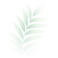 tropical green leaves on white background design