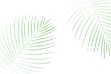 Obraz premium minimal and natural green leaves background design