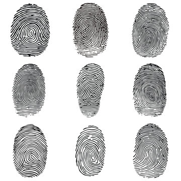 Forensic Biometrics Fingerprint Identification A Detailed Analysis and Explanation