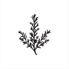 Fototapeta premium A classic black and white vector logo silhouette of rosemary on a white background. The style is timeless and elegant, utilizing geometric shapes and clean lines for balance, symmetry, and visual