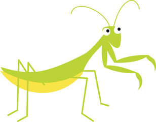 Insect icon set Illustration